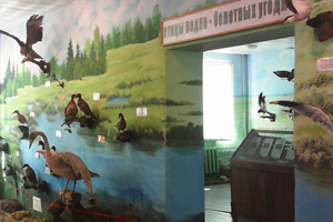 Museum of nature