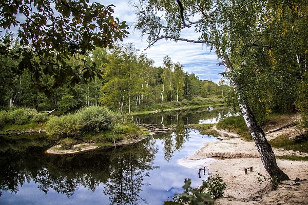 Beautiful places in the park «Meshera»