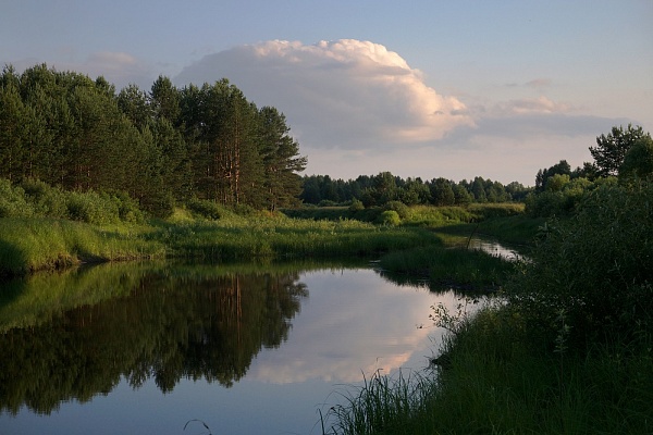 Beautiful places in the park «Meshera»