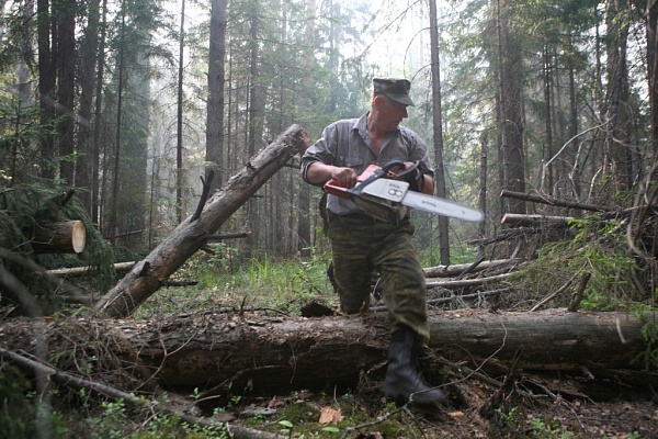 Расчистка дороги