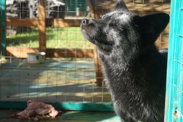 Museum of Local Lore