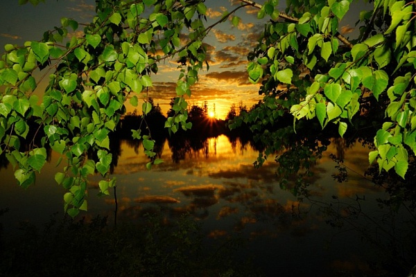 Beautiful places in the park «Meshera»