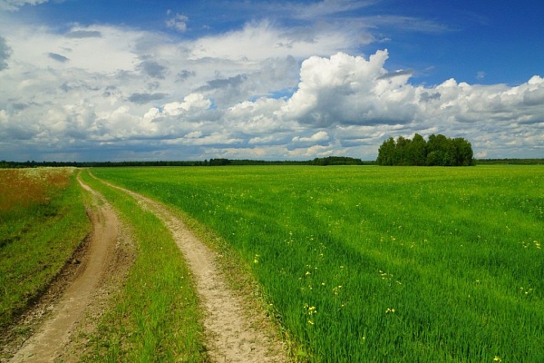 Beautiful places in the park «Meshera»