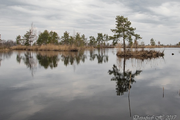 Beautiful places in the park «Meshera»