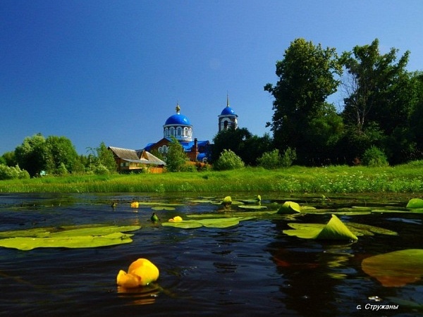 Beautiful places in the park «Meshera»